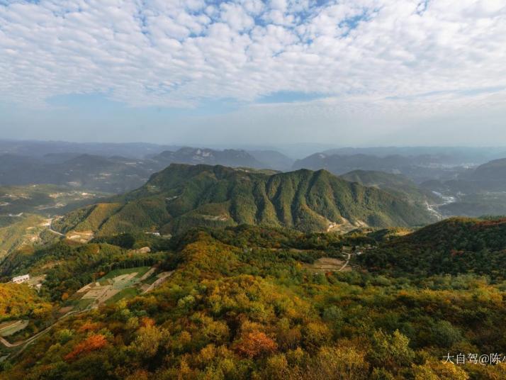 巴东野三关森林花海