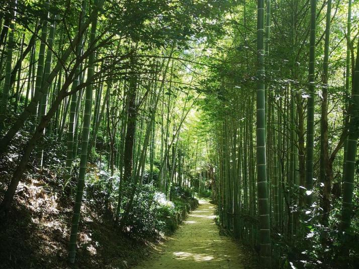 岳西大別山彩虹瀑布好玩嗎