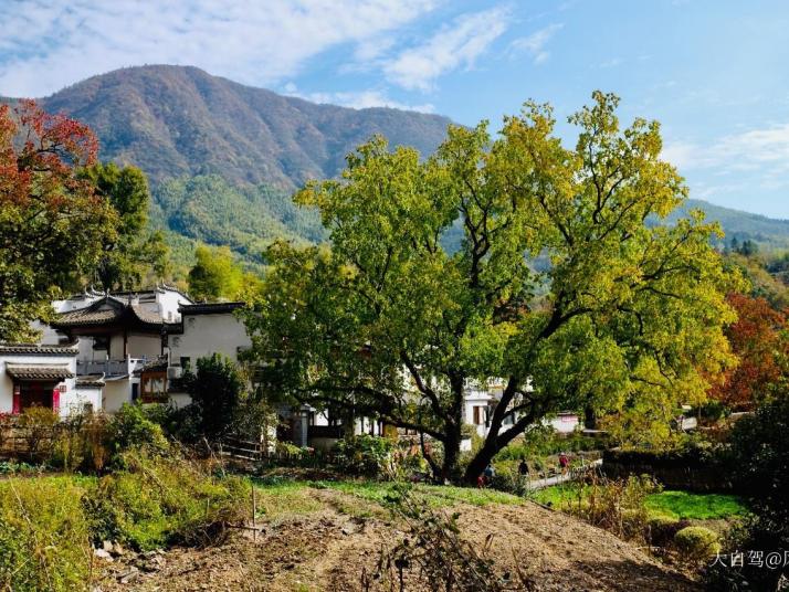 黟縣塔川村圖片