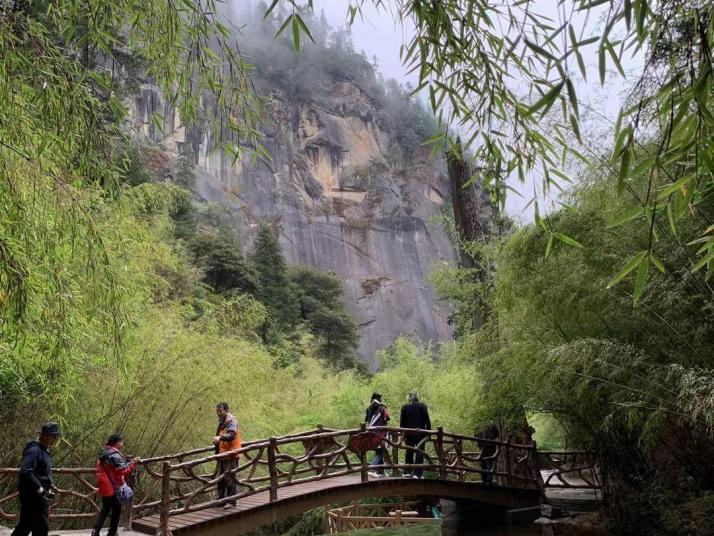 林芝 卡定沟景区好玩吗