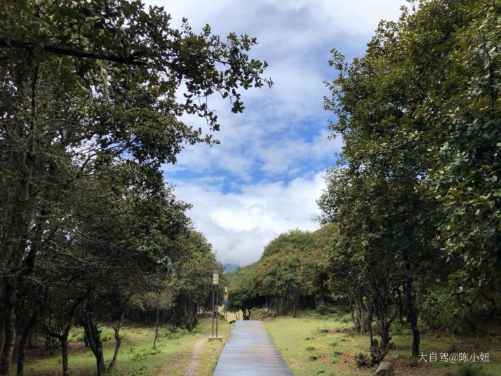 林芝 比日神山生态景区好玩吗