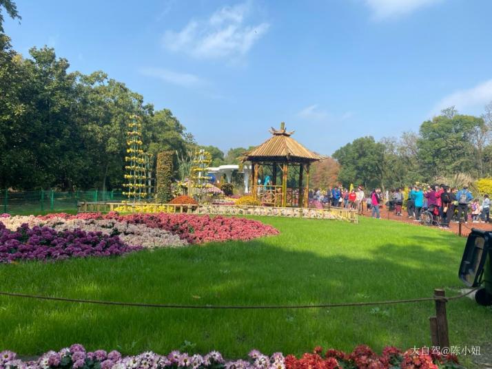 上海上海共青森林公園好玩嗎