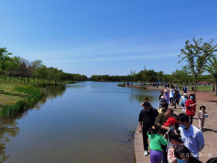 宿迁三台山天鹅湖图片