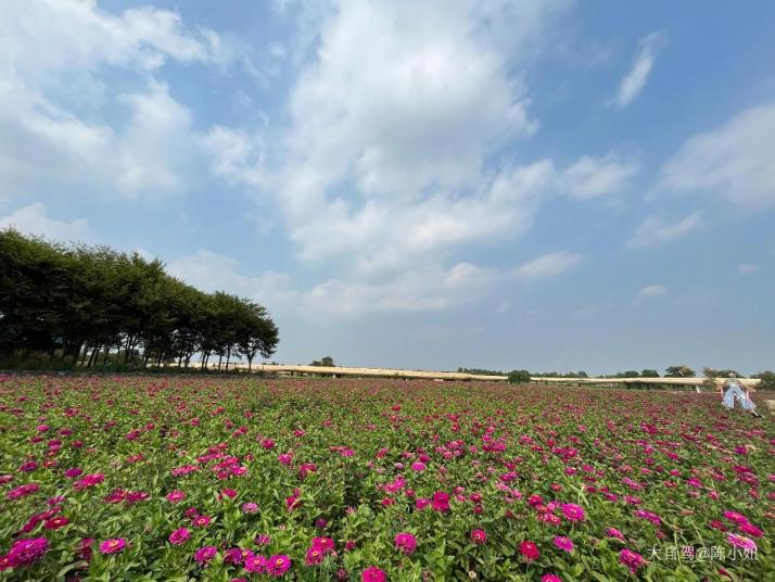 宿迁三台山天鹅湖好玩吗