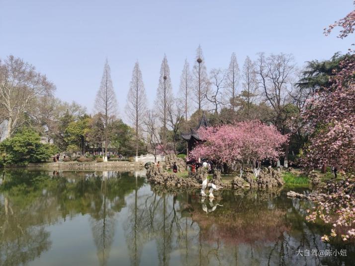 南京莫愁湖景區(qū)好玩嗎