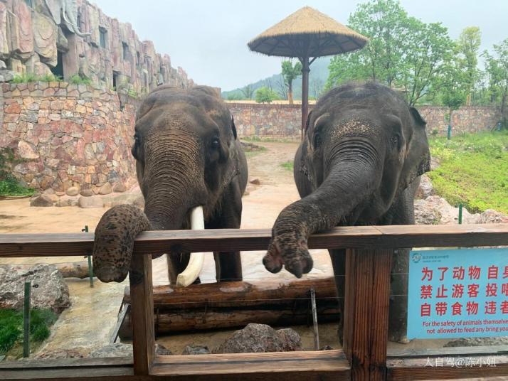 南京汤山紫清湖旅游区图片