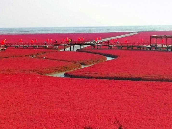 大洼盘锦红海滩