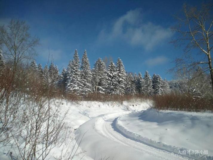 哈尔滨哈尔滨雪谷