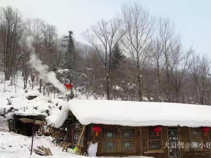 哈尔滨哈尔滨雪谷图片