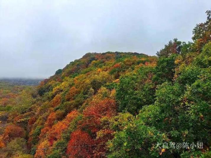 宾县香炉山国家森林公园