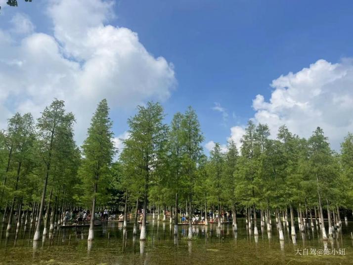 宿迁泗洪洪泽湖湿地