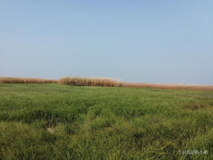 上饒鄱陽(yáng)湖濕地公園圖片