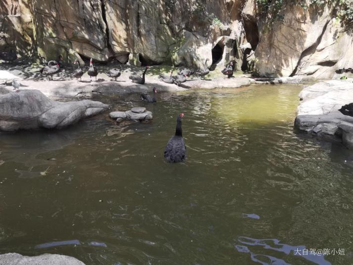 秦皇島燕塞湖鳥語林圖片