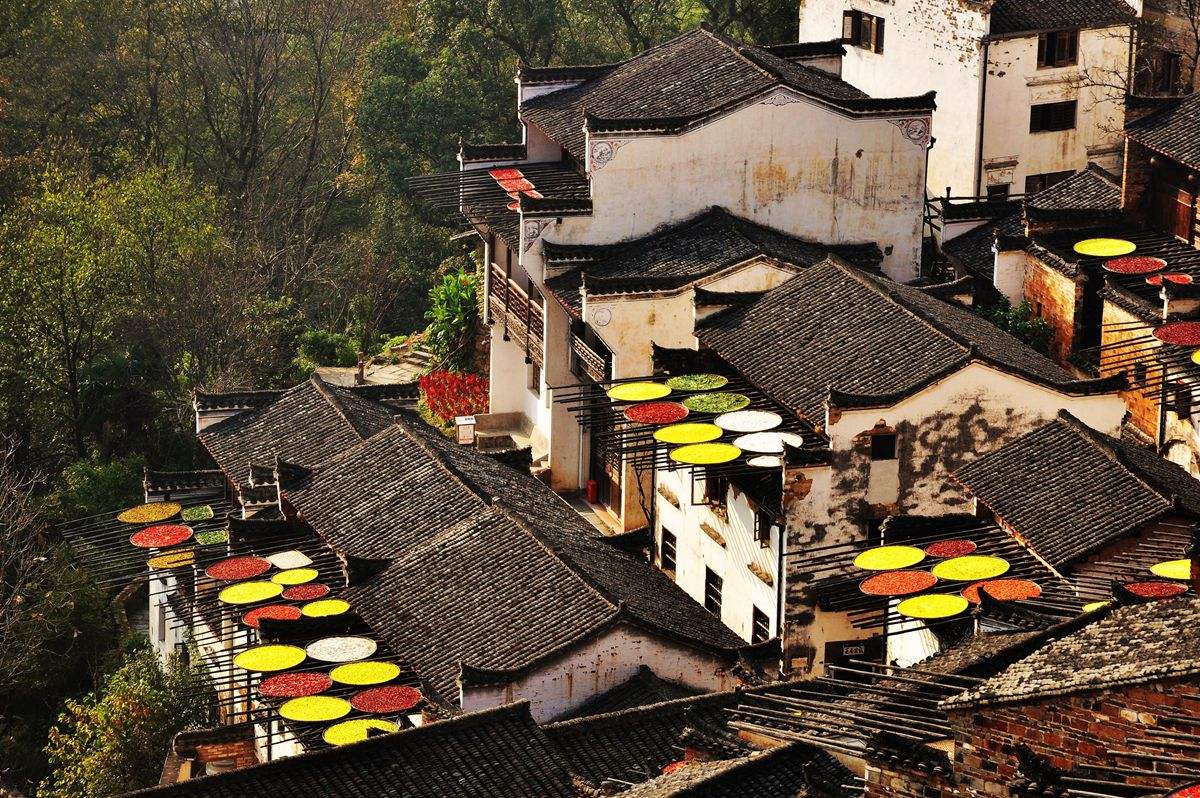 山东出发江西自驾游：庐山-鄱阳湖-石钟山-婺源篁岭6日赏秋之旅