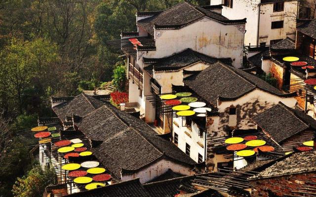 山东出发江西自驾游:庐山-鄱阳湖-石钟山-婺源篁岭6日赏秋之旅