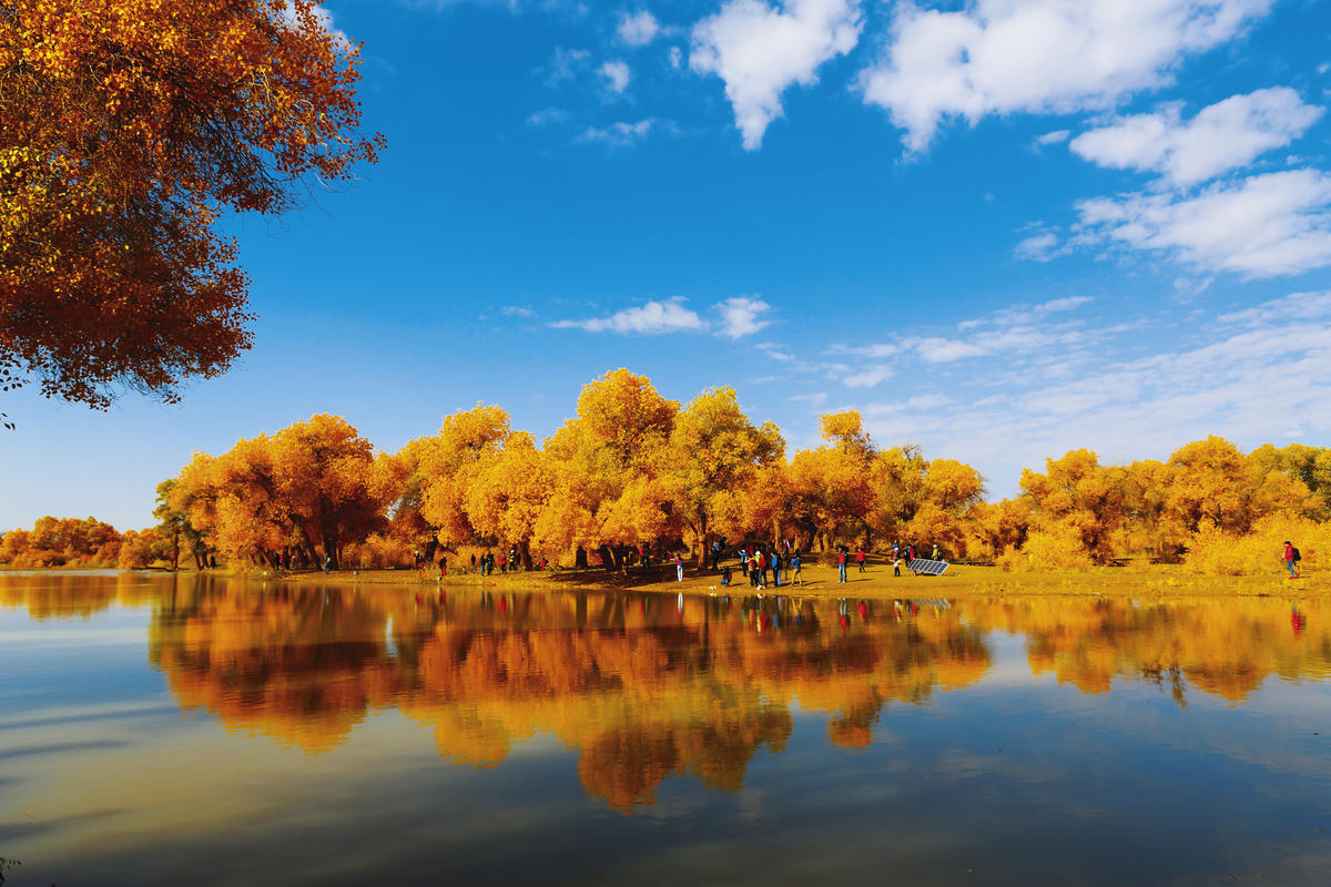 济南出发西北11日自驾游：额济纳胡杨林-大柴旦翡翠湖-茶卡盐湖11日青甘大环线