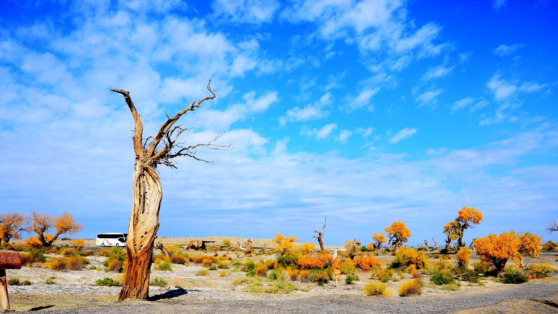 广东出发阿拉善双飞8日自驾游（重复需要覆盖）