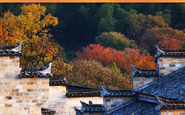 山东出发黄山5日自驾游:黄山-宏村-南坪-塔川-皖南318线赏秋5日游