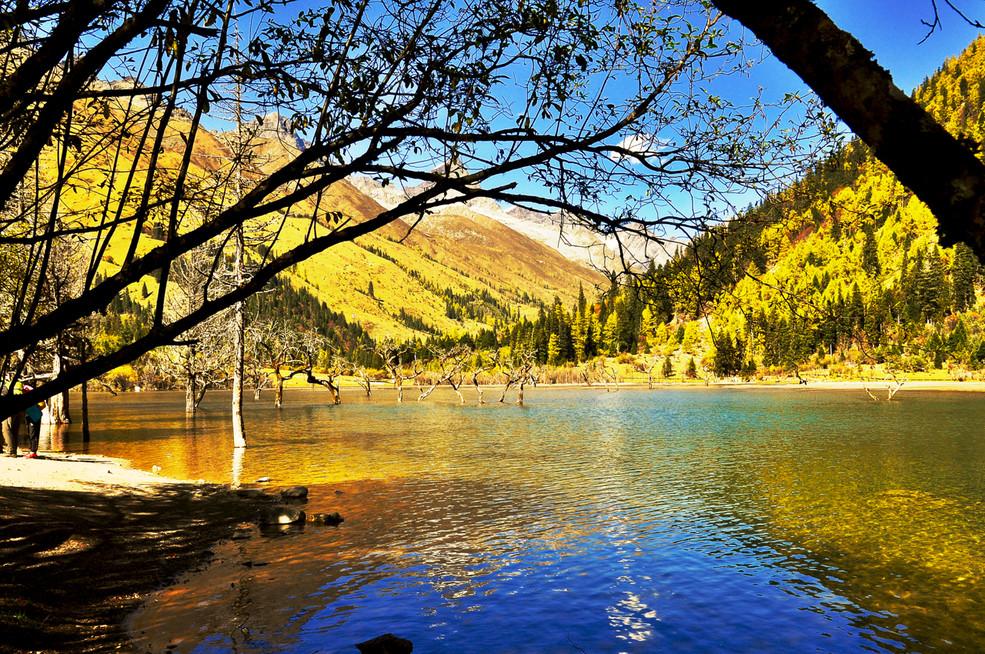 武汉出发米亚罗毕棚沟6天自驾游：经典雪山森林无边秋色