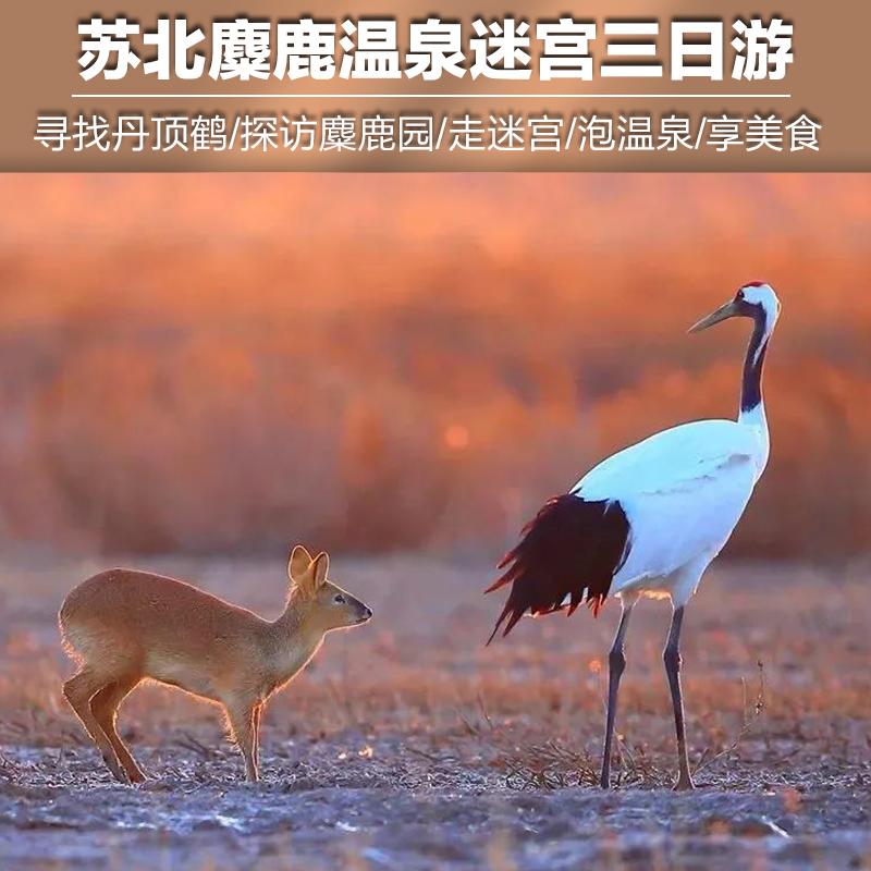 山东出发到苏北3日自驾游：水上森林-千垛花海-大纵湖美食的诱惑休闲3日自驾游