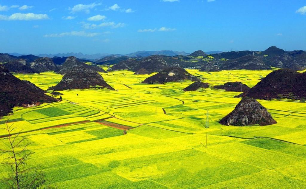 重庆出发云南6日自驾游：马岭河大峡谷-云南第一佛弥勒大佛-云南第一洞阿庐古洞-罗平6日自驾之旅