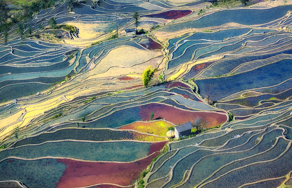 山東出發(fā)云貴14日深度自駕游：羅平油菜花、元陽(yáng)梯田、撫仙湖14日自駕游