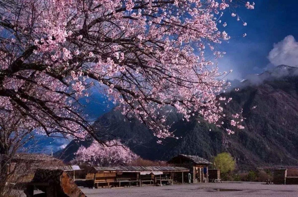 北京出发西藏青海23日自驾游：拉萨-雅鲁藏布大峡谷-羊卓雍错-青海湖23日自驾