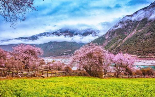 武汉出发西藏20日自驾游:金川梨花-林芝桃花-川藏南北线穿越20日自驾