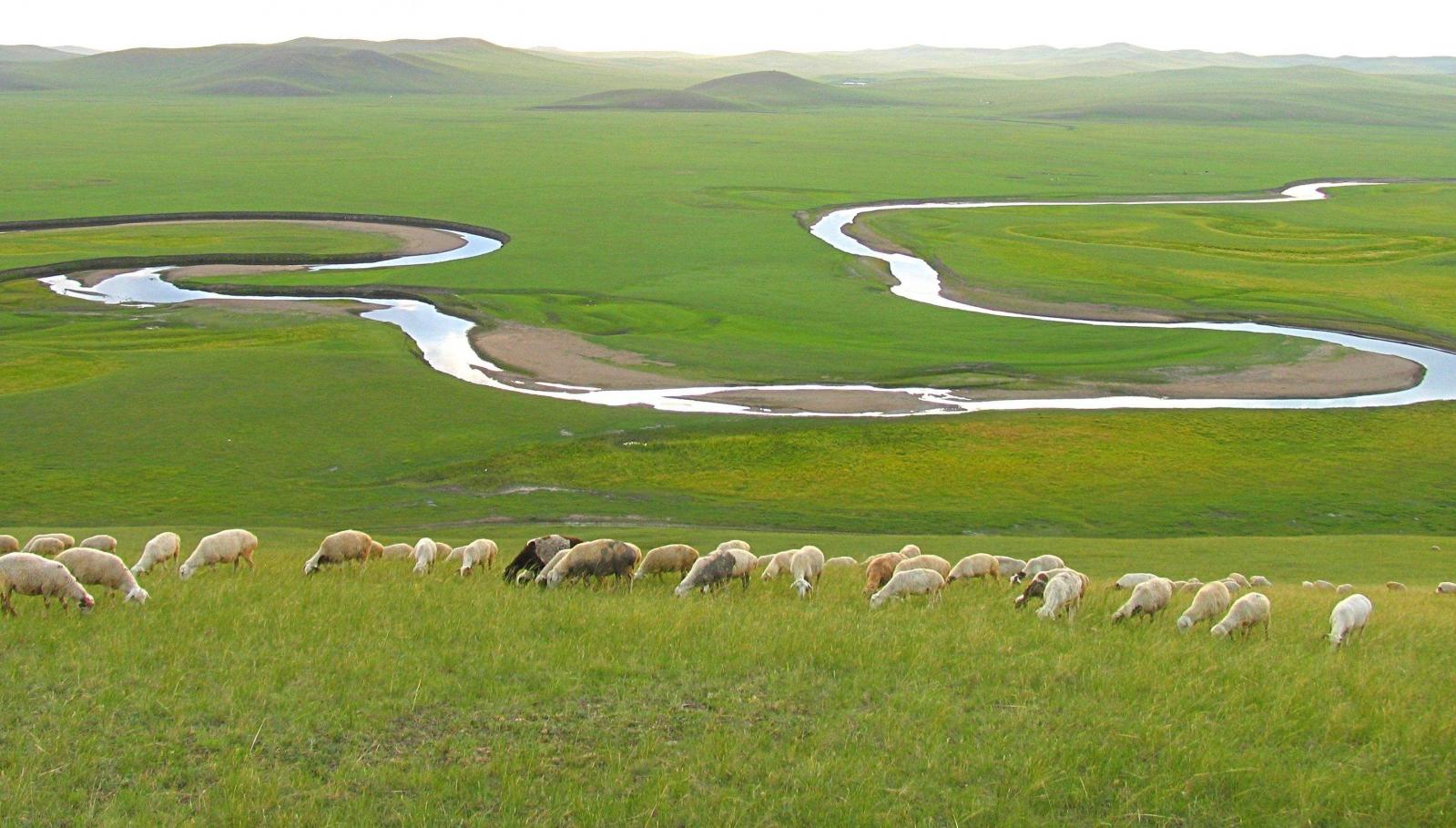哈爾濱集合12日中俄邊境自駕游：呼倫貝爾-北極村-莫日格勒河12日穿越東北中俄邊境深度自駕游