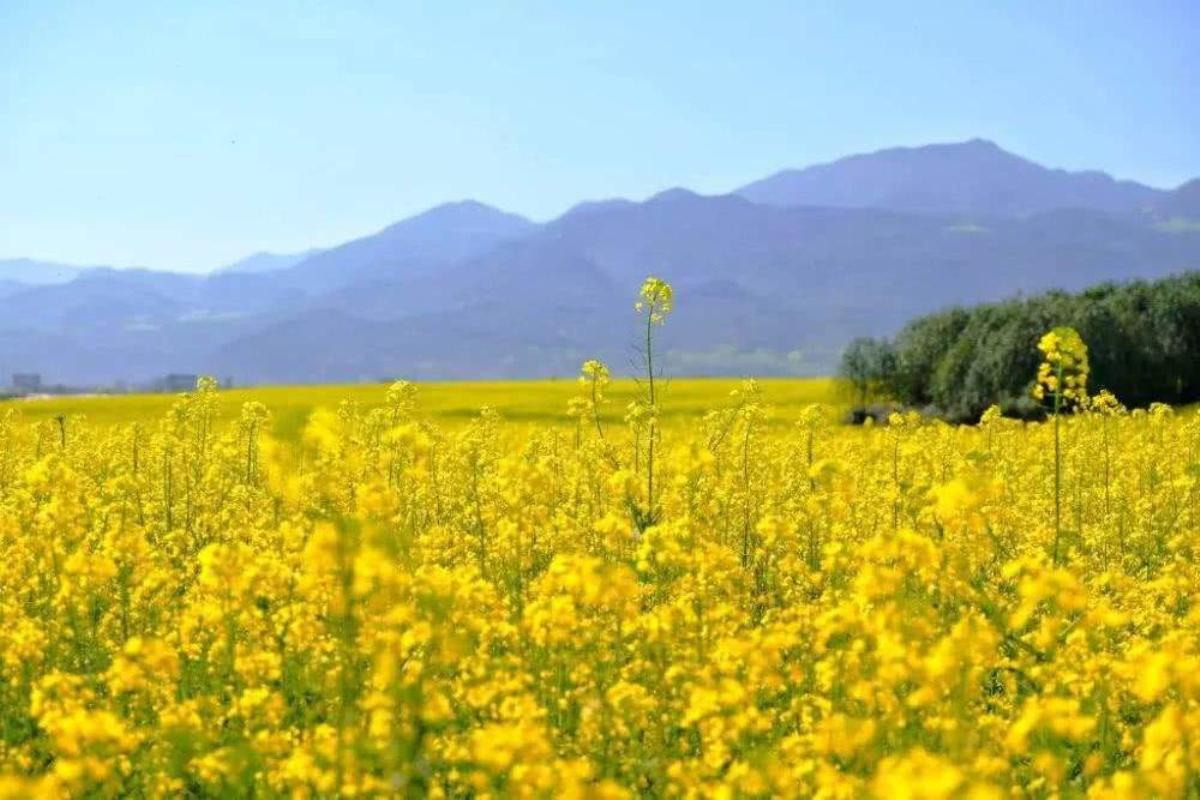 北京周边2日游：衡水湖、周家庄、洪福寺河北2日自驾