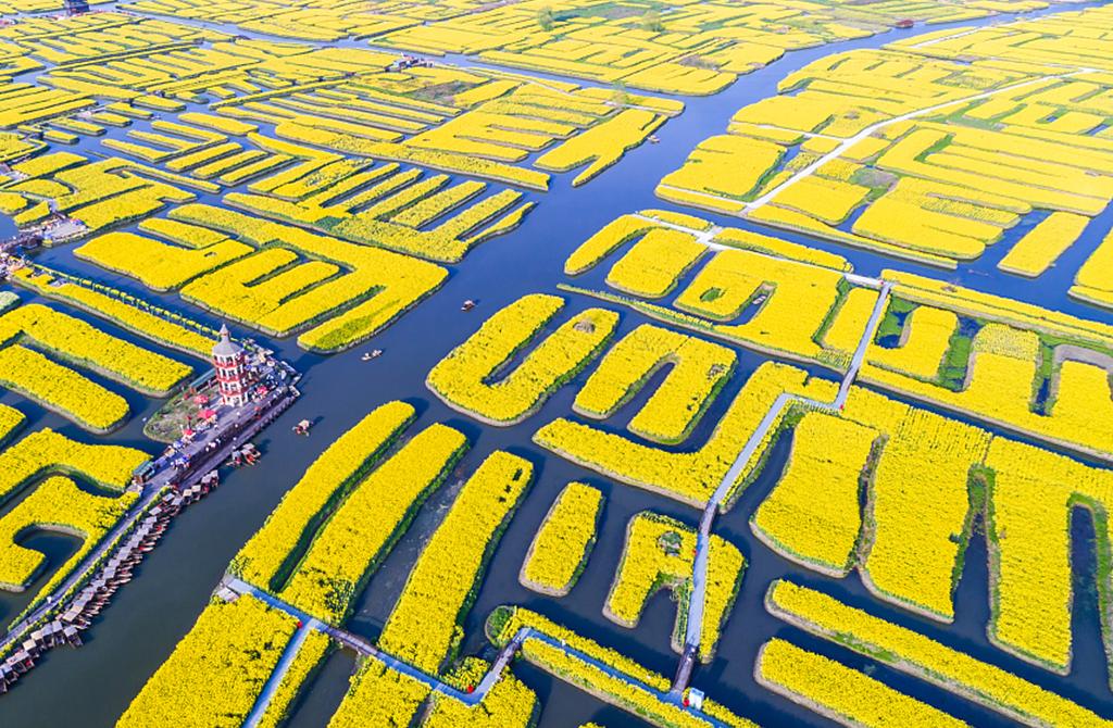 山东出发江苏3日自驾游：梦幻迷宫-溱湖湿地-琴童古镇-千垛菜花3日自驾游