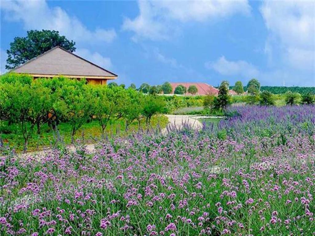 江苏出发苏州1日亲子体验自驾活动：绿光农场亲子DIY休闲自驾游