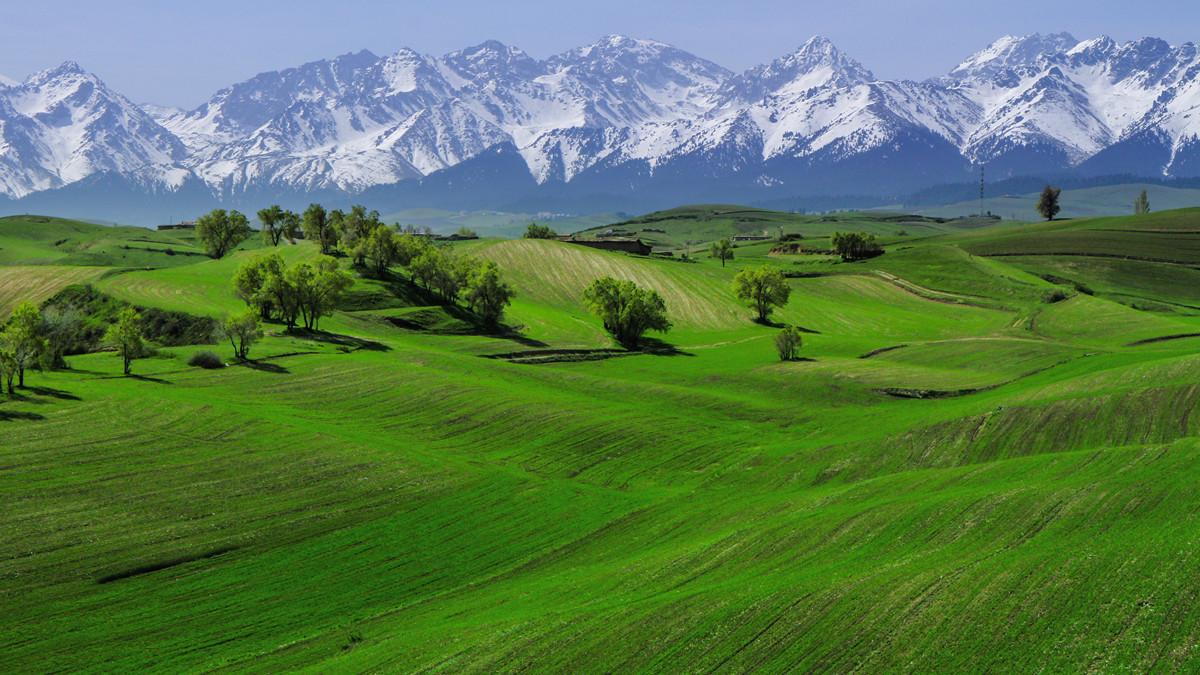 新疆出发6日东疆自驾游：吐鲁番+大海道+江布拉克草原+库木塔格沙漠穿越之旅