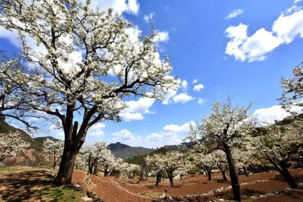 北京周边1日自驾游：霞云岭国家森林公园-金水湖1日自驾游