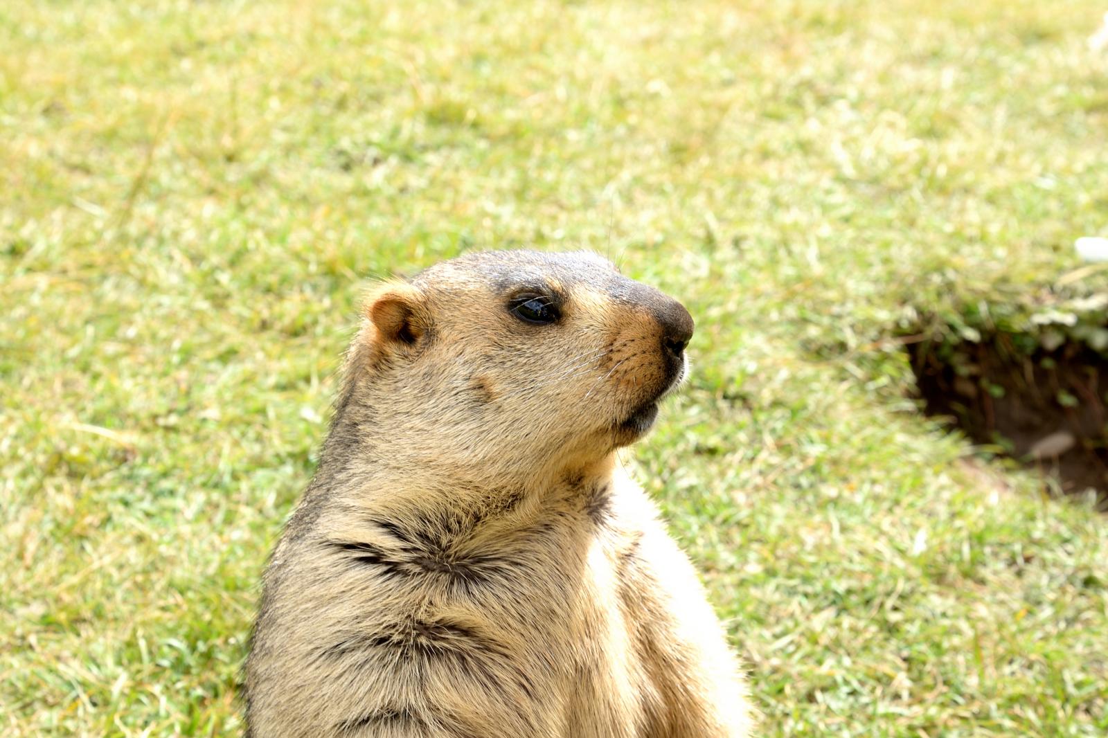 成都出發(fā)川西3日自駕游：遺忘的村落-莫斯卡3日自駕游