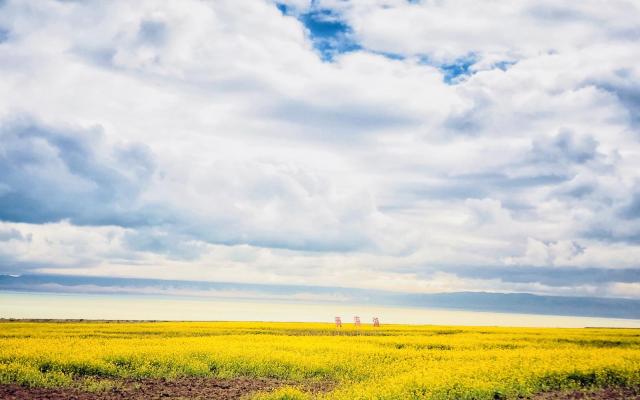成都出发甘肃青海8日自驾游：若尔盖大草原-茶卡盐湖-青海湖-沙坡头8日畅玩西北环线自驾游