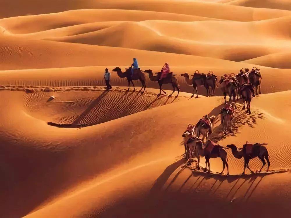 山东出发额济纳7日游：额济纳胡杨林-黑城怪树林-巴丹吉林-张掖丹霞-沙坡头色诱金秋双胡杨之旅