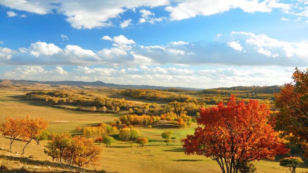 秋天北京出發(fā)3日烏蘭布統(tǒng)自駕路書(shū)：多倫-姑娘湖-渾善達(dá)克-烏蘭布統(tǒng)-最美秋天童話3日自駕游