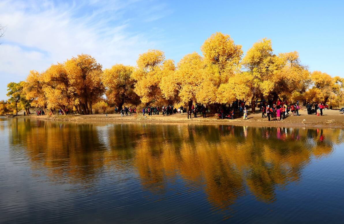 成都出发内蒙古甘肃8日游：额济纳期胡杨丽、七彩丹霞、西安8日自驾游