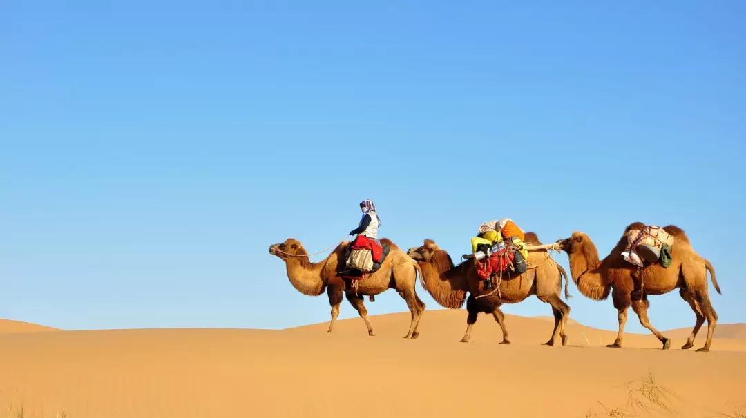 重慶到鄂爾多斯7日自駕游：達(dá)拉特旗-康巴什-蘇泊罕大草原7日西北風(fēng)土人情自駕游