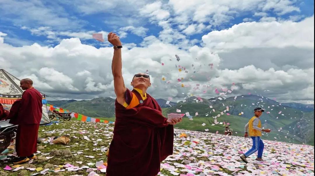 重庆出发川西5日自驾游：西部牧场-碌曲-郭莽湿地-大峪沟5天自驾游