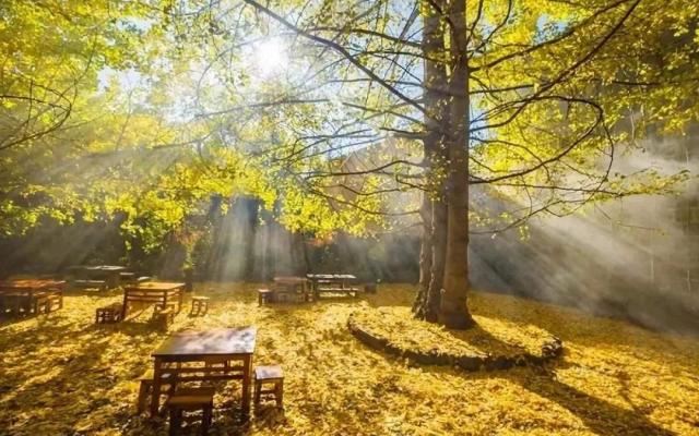 广东出发云南8天落地自驾游:和顺古镇-腾冲-南涧土林-无量山樱花谷8天休闲自驾游