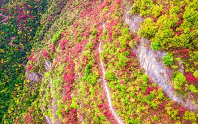 长沙出发重庆宜昌4日自驾游:宜昌三峡大坝-巫山小三峡-神女天路红叶4日自驾游