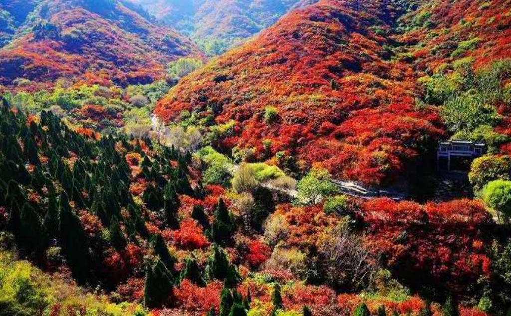 北京出發(fā)河北山東8日自駕：石頭村、西柏坡、白鹿溫泉、王硇村8日自駕