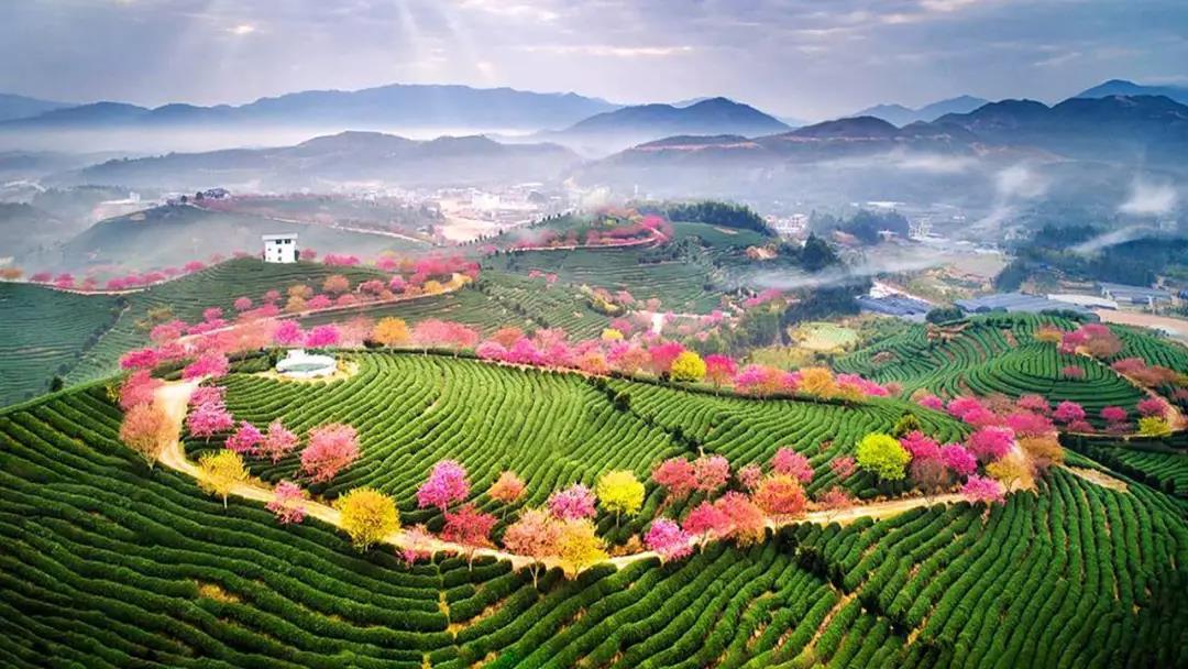 北京出发自驾福建南京9日游：永福樱花-南靖土楼-福建霞浦-厦门鼓浪屿-原始海上渔村风光-南京夫子庙