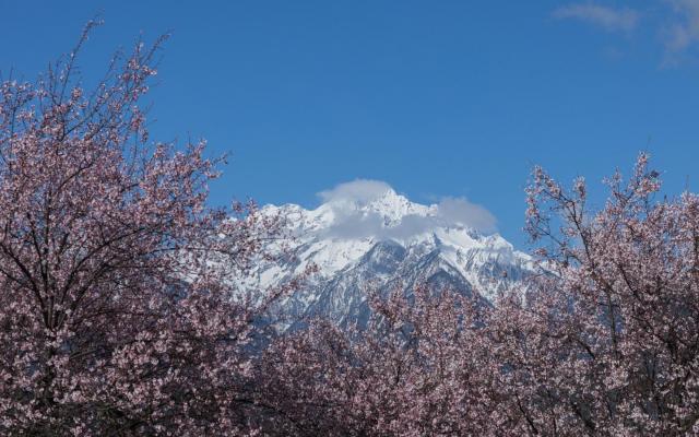成都出发西藏11日半自由行:甲居藏寨-新都桥-稻城亚丁-梅里雪山- 林芝-圣城拉萨11天半自由行