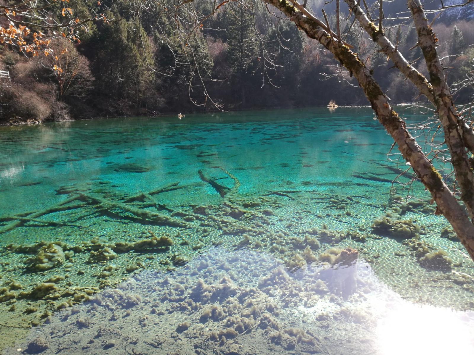 成都出發(fā)九寨溝3日自駕路書：松潘古城-岷江源頭-九寨溝-中國古羌城3日自駕游