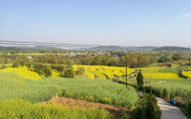 西安出发汉中2日自驾路书：汉中油菜花海-红寺湖-勉县武侯祠-石门栈道2日汉中自驾游