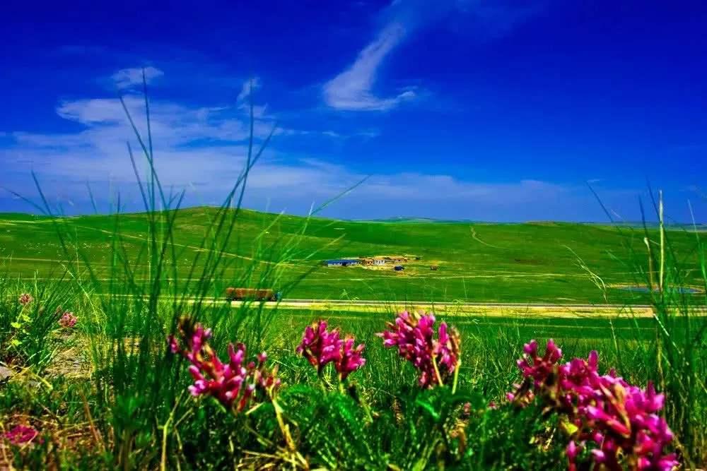 山东出发自驾内蒙乌拉盖草原6日游：野狼谷-布林泉-九曲湾-乌拉盖-玉龙沙湖-北戴河6日游