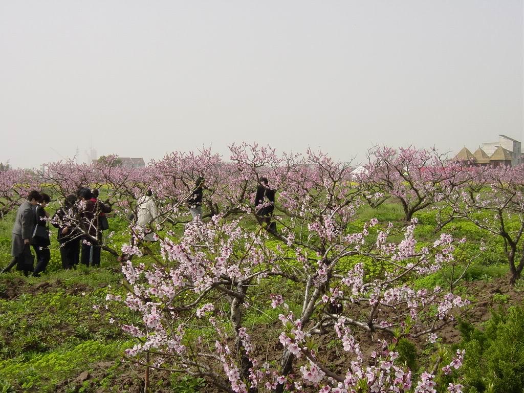 長(zhǎng)沙到益陽兩日自駕路書：益陽云臺(tái)山神仙巖、常德桃花源、沅江游船兩日自駕游